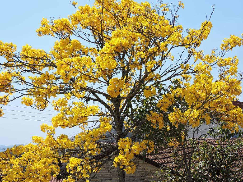 Pousada Casa Da Serra เซาโตเมตัสเลตราส ภายนอก รูปภาพ