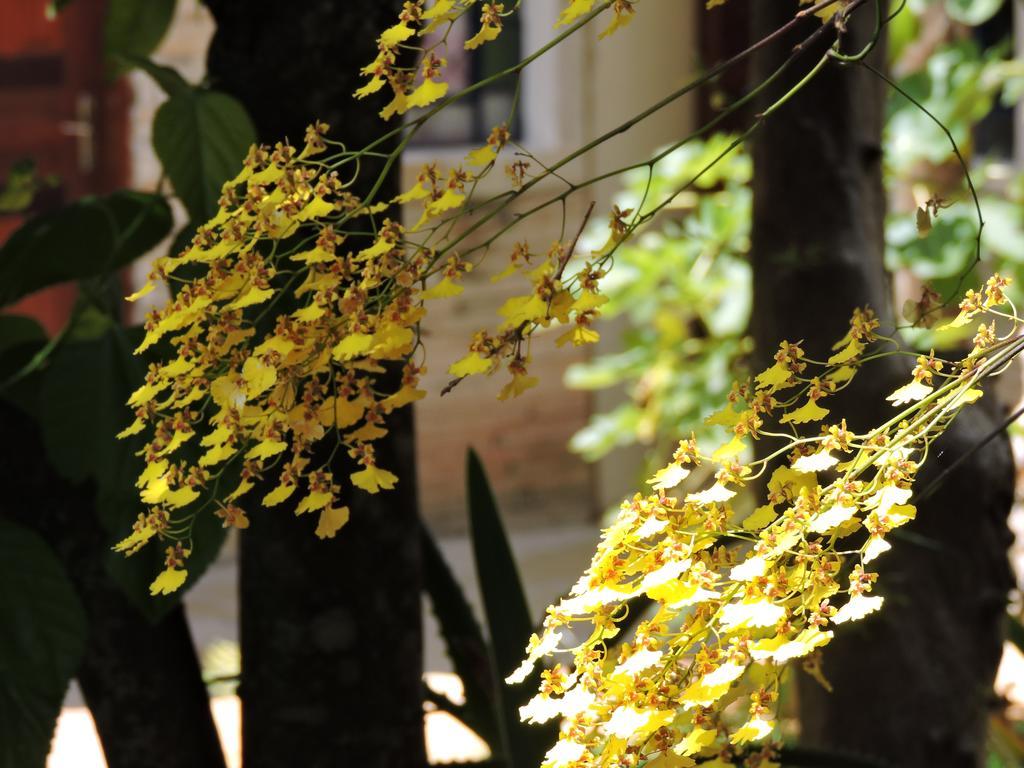 Pousada Casa Da Serra เซาโตเมตัสเลตราส ภายนอก รูปภาพ